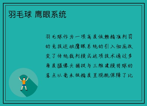 羽毛球 鹰眼系统