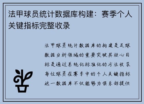 法甲球员统计数据库构建：赛季个人关键指标完整收录